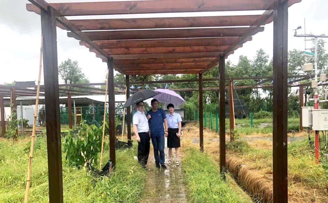 台风12号最新喜讯播报，风雨同舟，共迎美好未来