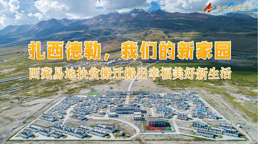 都江堰地震，齐心协力，共筑家园新篇章