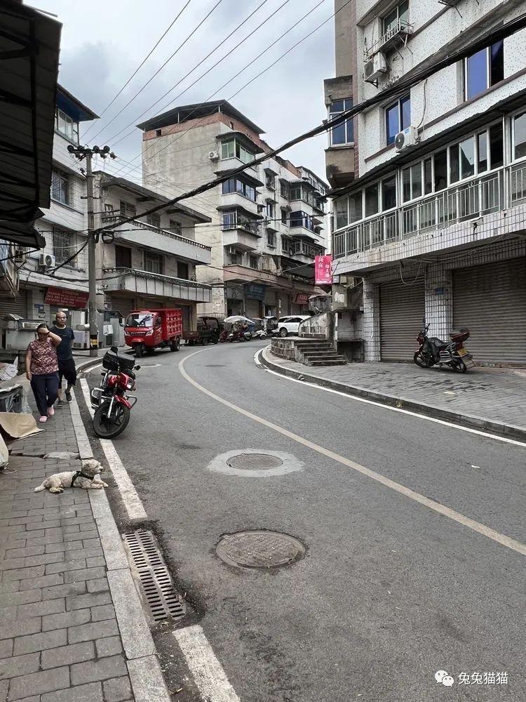 江北鱼嘴地区招聘盛宴，好岗位等你来发现！