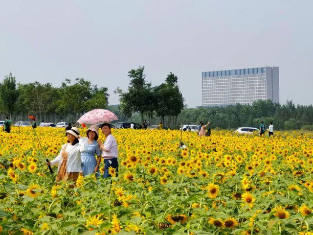 黄花机场东侧迎来喜讯，焕新启航在即