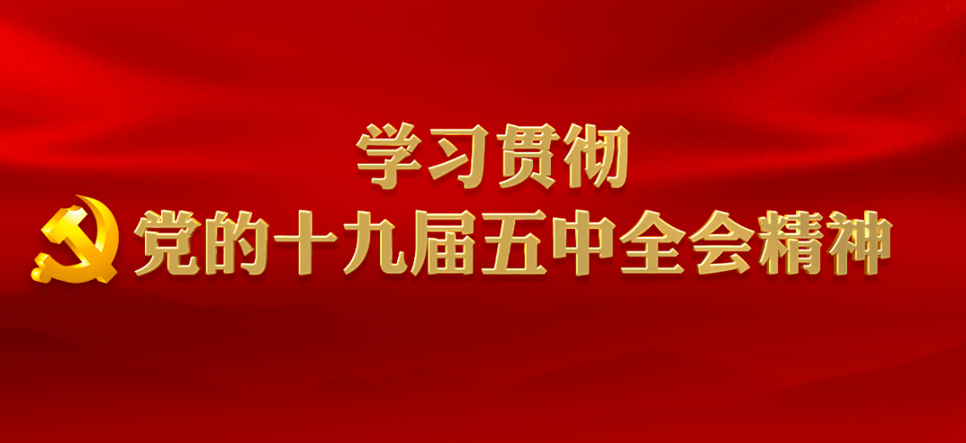 新华字典全新图鉴版，开启知识新篇章