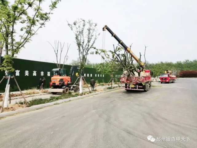 “邳州炮车地区招聘信息，新机遇等你来把握！”