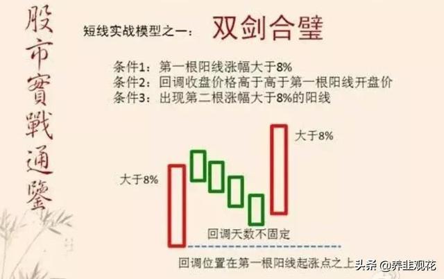 蒜苗今日价格喜讯，美好行情尽在掌握