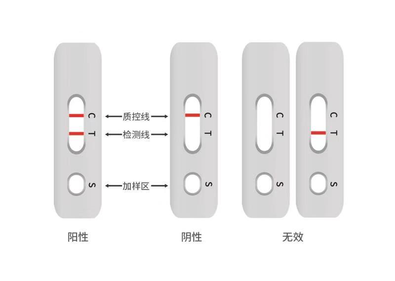 长沙新冠病毒动态报道