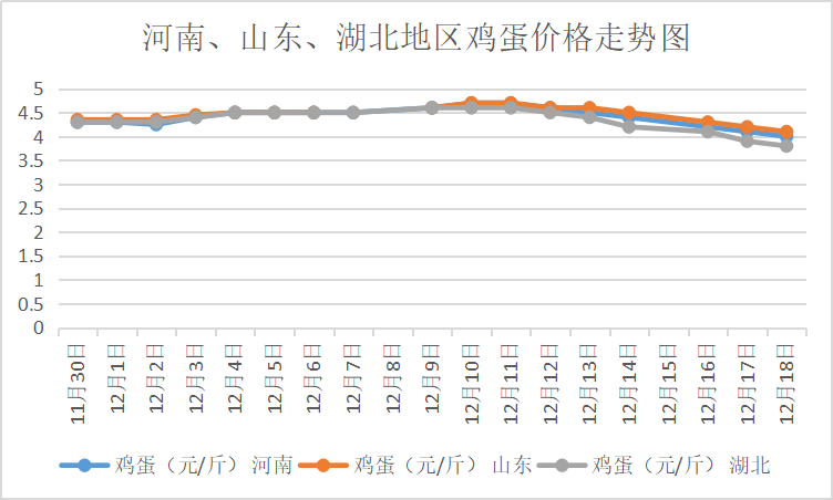 漯河鸡蛋市价速览