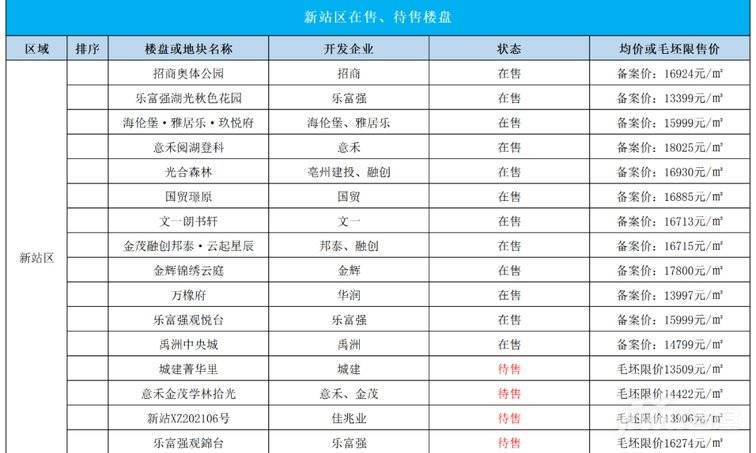 合肥新站区房价最新消息