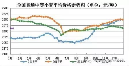 最新小麦市场行情