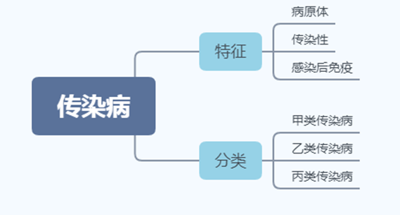 最新传染病分类指南