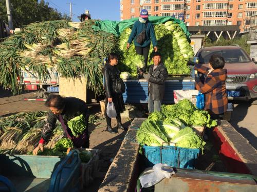 土豆市场实时动态分析