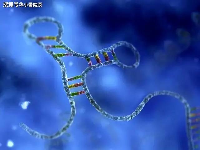 探索前沿：揭秘丙型肝炎治疗领域中的最新突破性药物