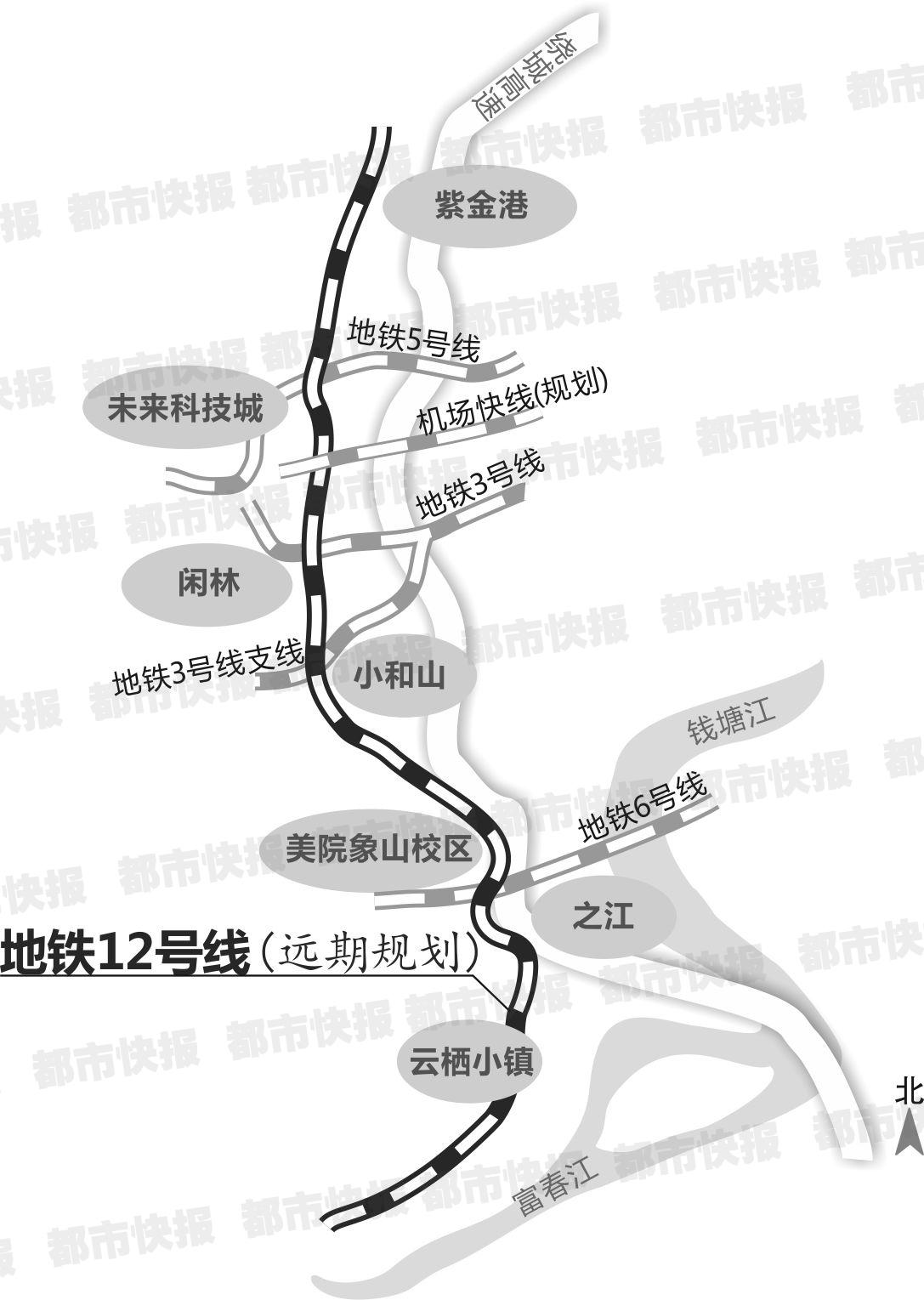 杭州地铁5号线最新动态速递