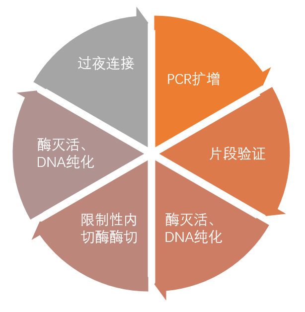 “克隆技术前沿动态”